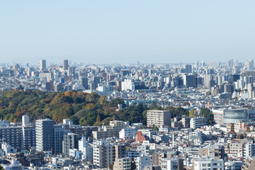 Fototapeta na wymiar 青空を背景に文京区から見た小石川植物園方向のビル群