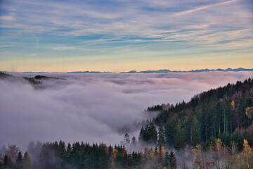 Landschaftsaufnahme eines nebeligen Waldes unter blauem Himmel mit einem Alpenkamm am Horizont
