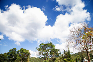 Obraz premium Beatiful blue sky with big cloud in summer day.