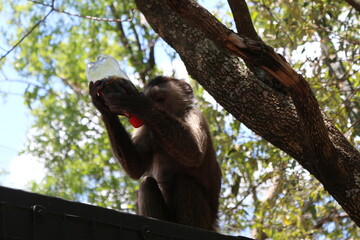 Photos taken in Elephant Sanctuary, Hartbeespoort.