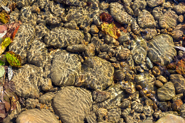Natural river stony bottom, shallow riverbed during autumn weather on a Sunny day in a mountainous area.