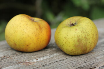 Pomme