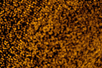 blur bokeh gold light of celebration arch