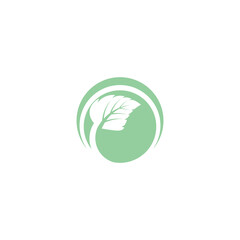 Leaf Mint Logo Template vector symbol