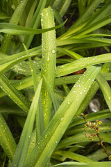 Obraz premium abstract head drawing, alarm clock without arrows and numbers