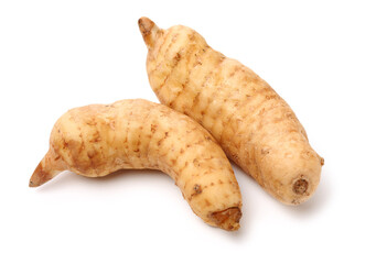 Fresh Gastrodia elata blume on white background