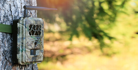 Camera trap or photo cameras mounted on  tree in  forest for wild animals location monitoring. copy...