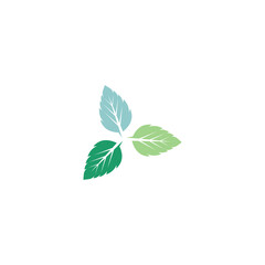 Obraz premium Leaf Mint Logo Template vector symbol