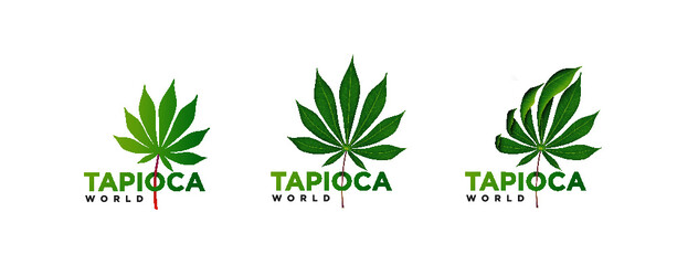 Tapioca Logo