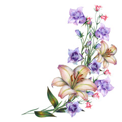 Watercolor  illustration corner  flowers lily and bluebell.