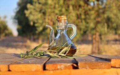 close-up of an extra virgin oil jug with slice of bread and olive oil tree branch