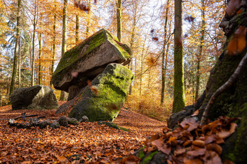 Erdmannlistein in Wohlen
