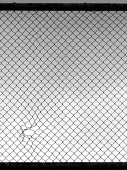 Fototapeta premium Decorative wire mesh of fence with hole