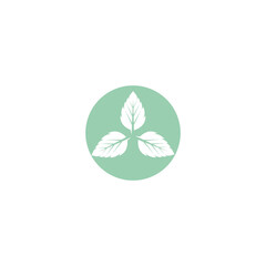 Leaf Mint Logo Template vector symbol