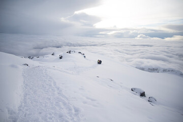 snow covered mountains