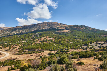 Fototapeta na wymiar Denizli Province, rural landscape