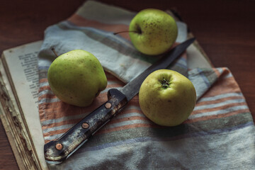still life with apples