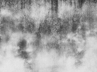 aged street concrete wall with mold