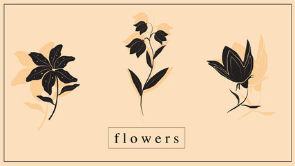 Vector illustration of decorative flowers and plants in black. EPS 10
