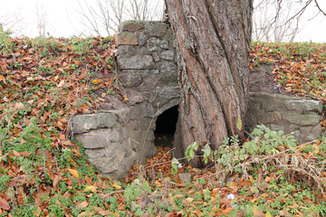 Concrete drainage pipe near the construction side. Circle pipe cross road for drained water and...