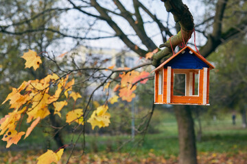 Bright bird feeder hanging on a tree branch with yellow leaves, autumn landscape, close-up. selective focus, background blur.