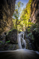 Naklejka na ściany i meble waterfall in the middle of the vegetation a ravine