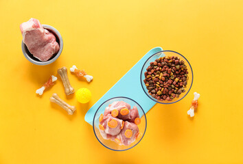 Dry and fresh pet food on color background