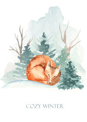 Winter forest, animal sleeping fox in the snow Cozy winter. Watercolor hand drawn card