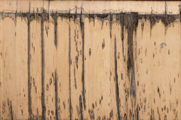 The surface of old wooden boards with peeling and weathered paint.