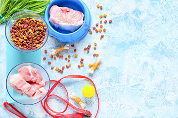 Dry and fresh pet food on color background