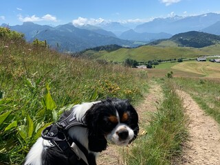 Chaine des Alpes - Mont-Blanc