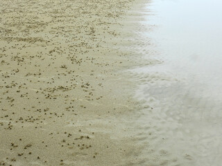 Crab hole on sand beach at Pranburi, Prachuap Khiri Khan, Thailand - habitat of ghost crab ( Ocypode ceratophthalmus ) at low tide