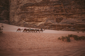 People on camels pass the sand dunes in the desert, which is surrounded by stone rocks and pink sand, animals walk without getting tired,there is not enough water, and the hot hot sun burns everything
