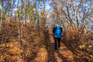 Fototapeta premium Waldbaden im Herbstlaub