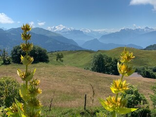 Chaine des Alpes - Mont-Blanc