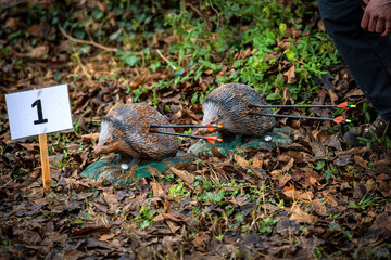 Close-up of two archery targets and arrows, fake hedgehog animals above the leaves in autumn.
