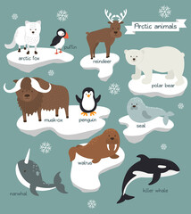 Arctic animals background set
