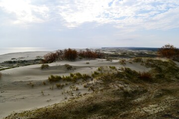 Fototapeta na wymiar Sand dune on the Baltic sea coast