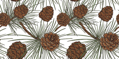 Botanical Cedar Cones Seamless Pattern