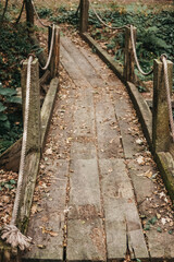 Vertical shot of a wooden hiking trail through a forest