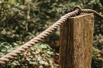 Closeup shot of a rope passing through a hole on a wooden pole of a forest trail