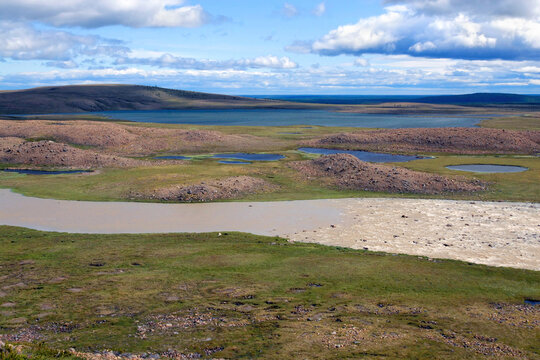 Yamal Billeder – Gennemse 4,542 stockfotos, vektorer og videoer | Adobe