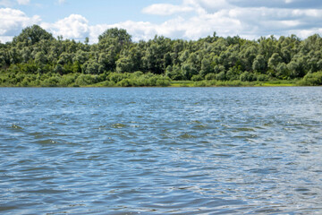 River in the foreground, in the distance you can see the river Bank with green trees and bushes