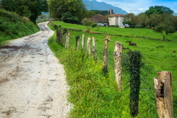 vista, camino bonito, iglesia