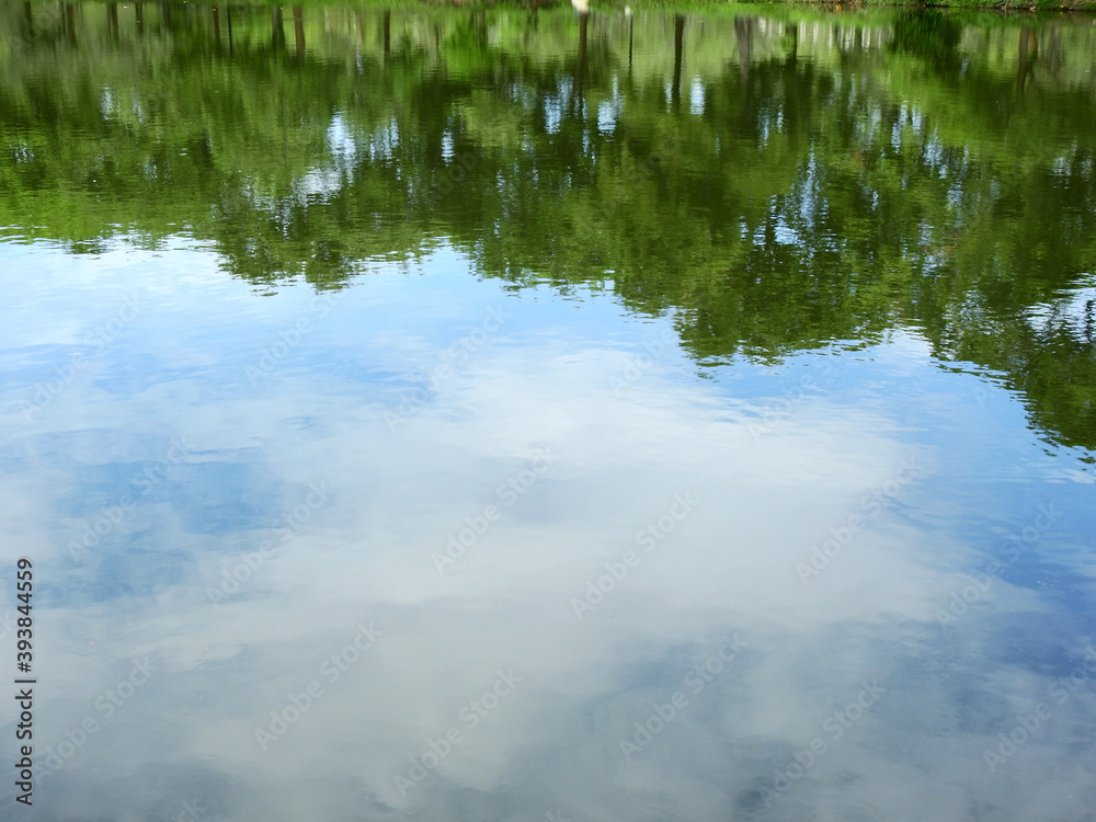 Poster abstract reflection of tree on water with blue sky