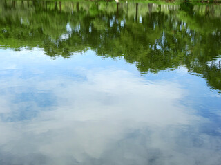 abstract reflection of tree on water with blue sky