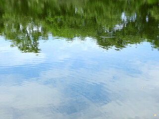 abstract water wave with reflection of tree background