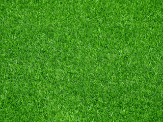 Fototapeta premium green artificial grass texture, lawn background