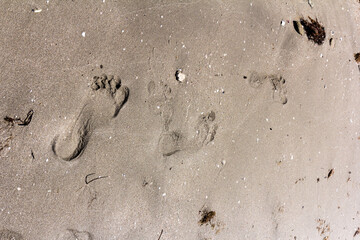 Texture background Footprints of human feet on the sand near the water on the beach