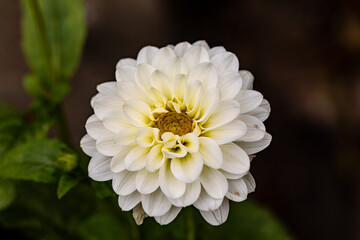 Warten auf das neue Jahr